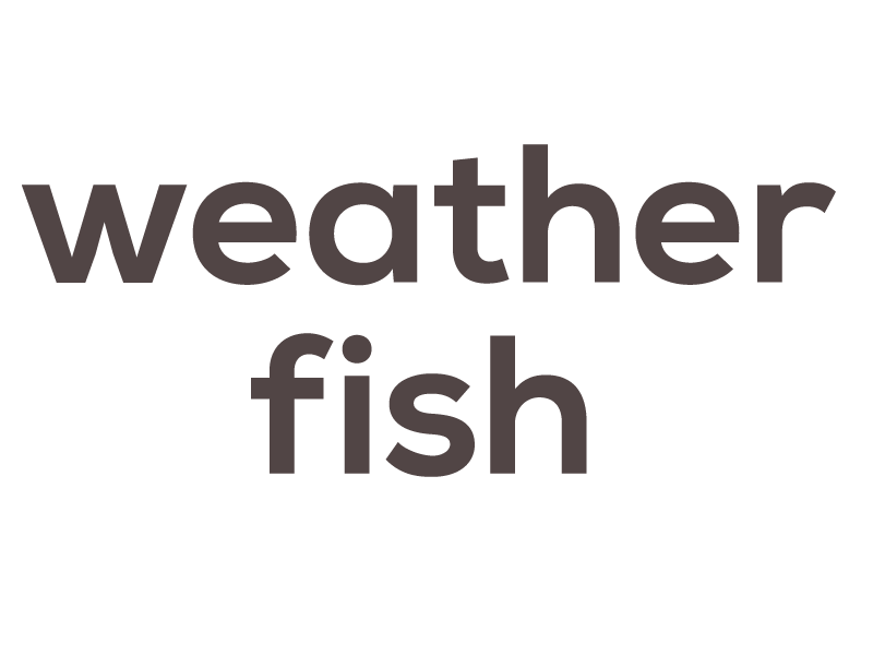 Weatherfish Logo